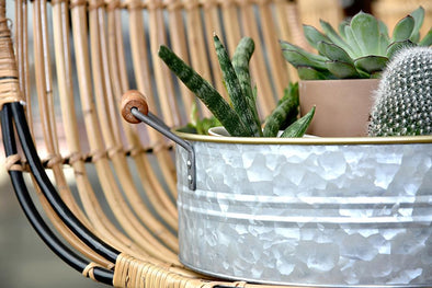 Silver galvanized tray with wooden handles on a brown wicker chair.  Succulent plants inside tray.