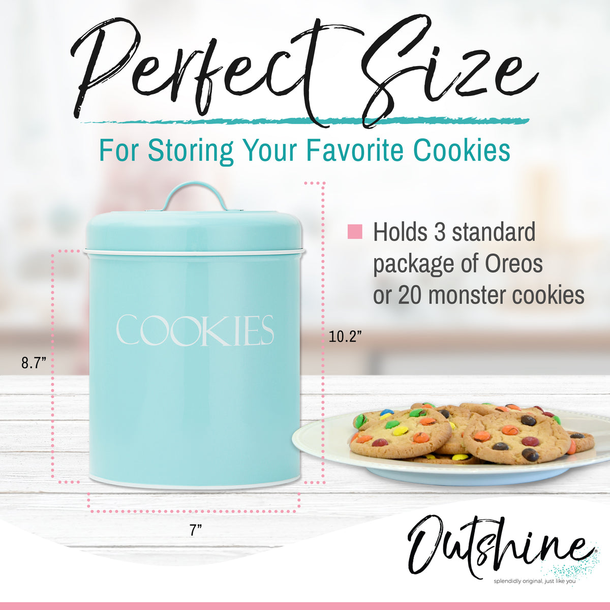 http://outshineco.com/cdn/shop/files/Outshine-VintageCookieJar-Mint_Infogperfectsize_1200x1200.jpg?v=1689940741