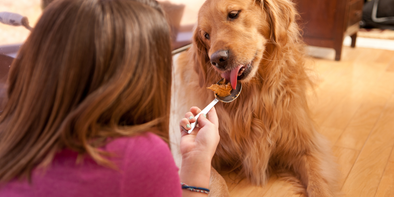 Peanut Butter and Banana Dog Treats | OUTSHINE