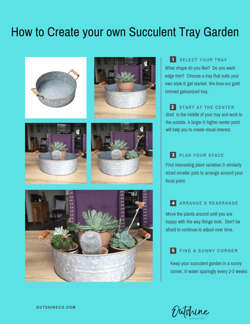 Creating Your Own Tray Garden with Succulents  Outshine Co.