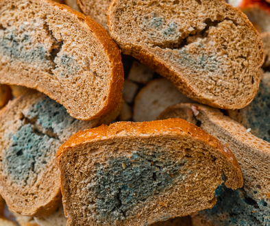 8 Tips to Keep Your Bread Away From Having MOLD | OUTSHINE