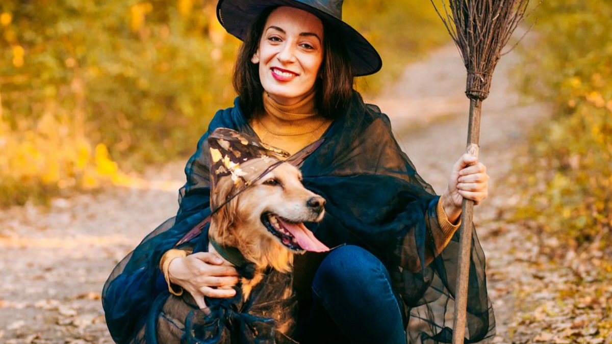 Halloween Costume Ideas for You and Your Fur Baby – Outshine Co.