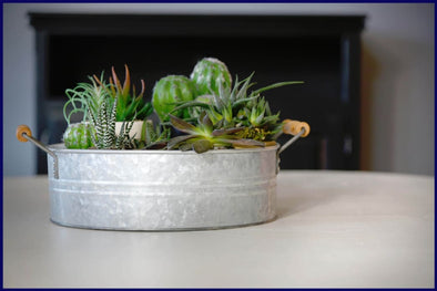 Creating a Galvanized Tray Succulent Planter